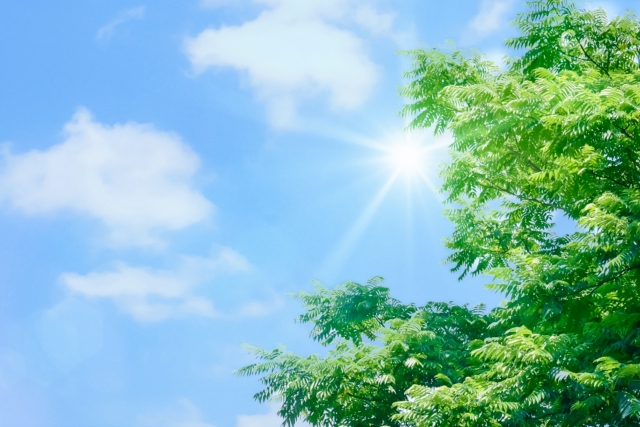 蓄電池とは?基本構造と役割をわかりやすく解説