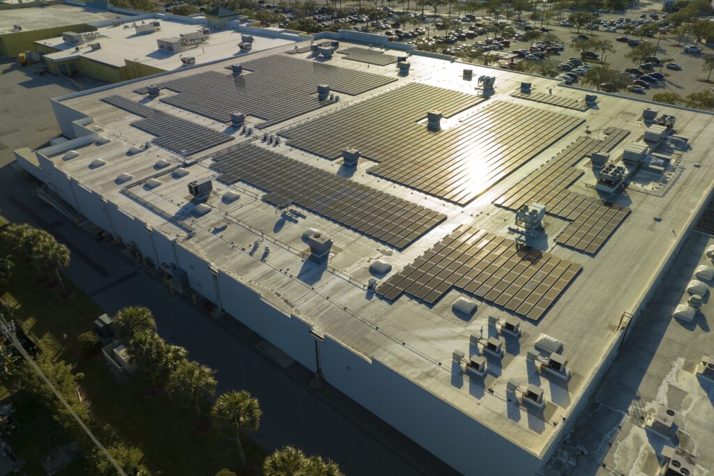 5. 国産メーカー vs 海外製の価格差